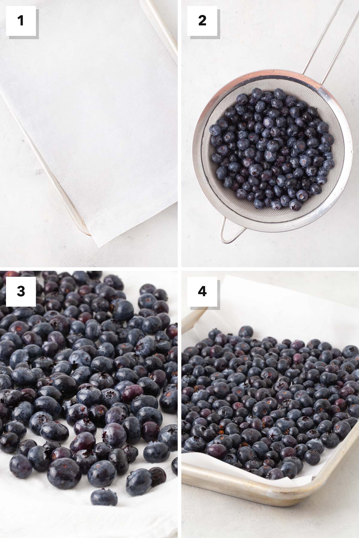Steps for freezing blueberries.