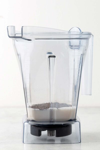 Chia seeds and milk in a blender. 